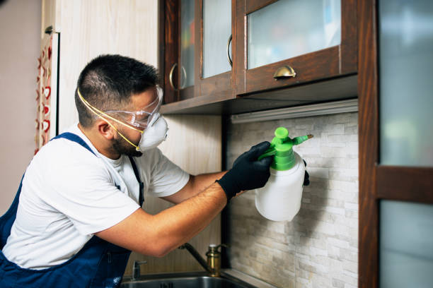 Best Pest Prevention Services  in Duncan, SC