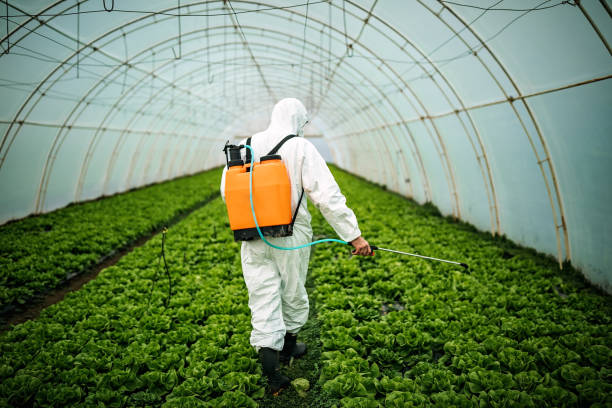 Best Affordable Pest Control Services  in Duncan, SC